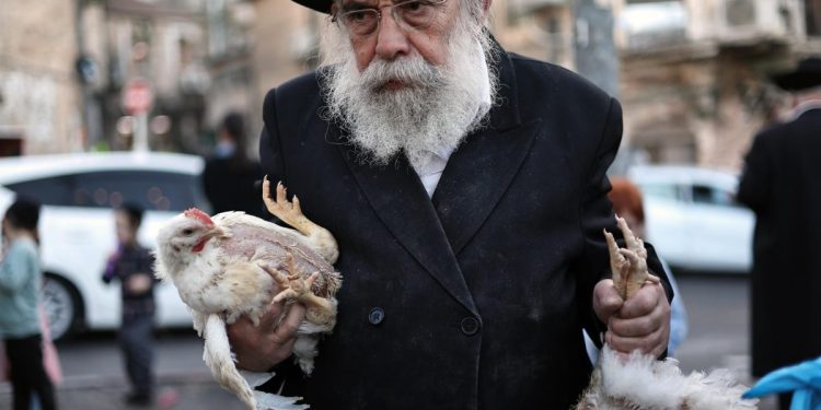 Un ebreo ultra-ortodosso tiene in mano un pollo durante il rituale Kaparot in vista della festività ebraica dello Yom Kippur a Gerusalemme, 29 settembre 2025 (Ansa)
