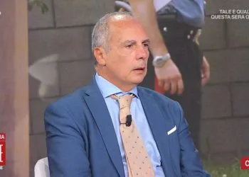 Delitto di Garlasco, Palmegiani