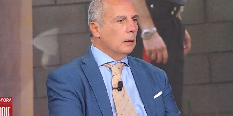 Delitto di Garlasco, Palmegiani