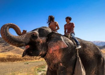 In viaggio con Flora, il film in seconda serata su Italia 1 (Foto Web)