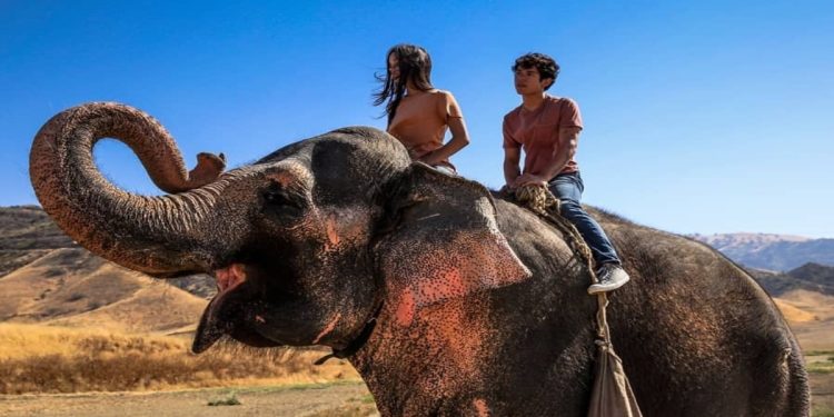 In viaggio con Flora, il film in seconda serata su Italia 1 (Foto Web)