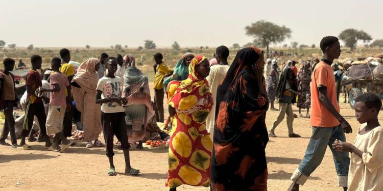 Guerra Sudan, sfollati