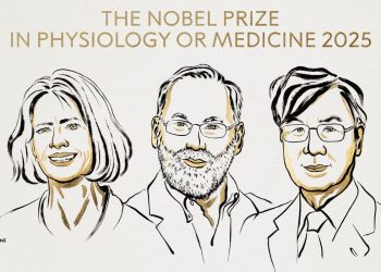 Mary Brunkow, Fred Ramsdell e Shimon Sakaguchi: vincitori Nobel Medicina 2025