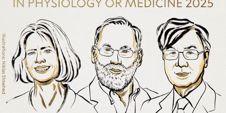 Mary Brunkow, Fred Ramsdell e Shimon Sakaguchi: vincitori Nobel Medicina 2025