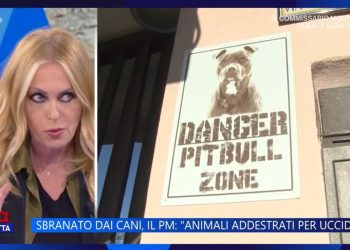 Rottweiler e l'uccisione di Paolo Pasqualini, il commento di Bruzzone (Foto: La vita in Diretta)