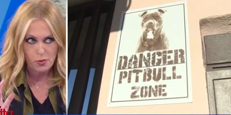 Rottweiler e l'uccisione di Paolo Pasqualini, il commento di Bruzzone (Foto: La vita in Diretta)