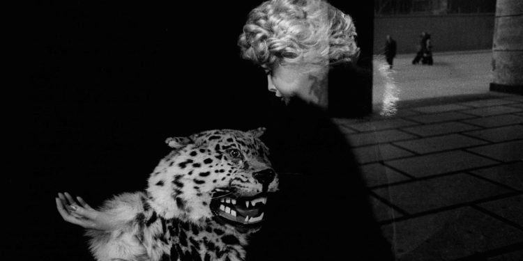 Roberto Salbitani, "La Rinascente, Milano, 1973"