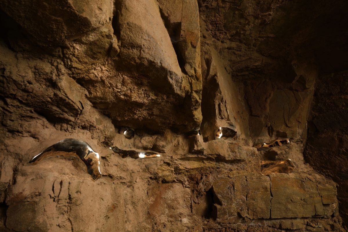 Vene d'Oro di Bizhan Bassiri