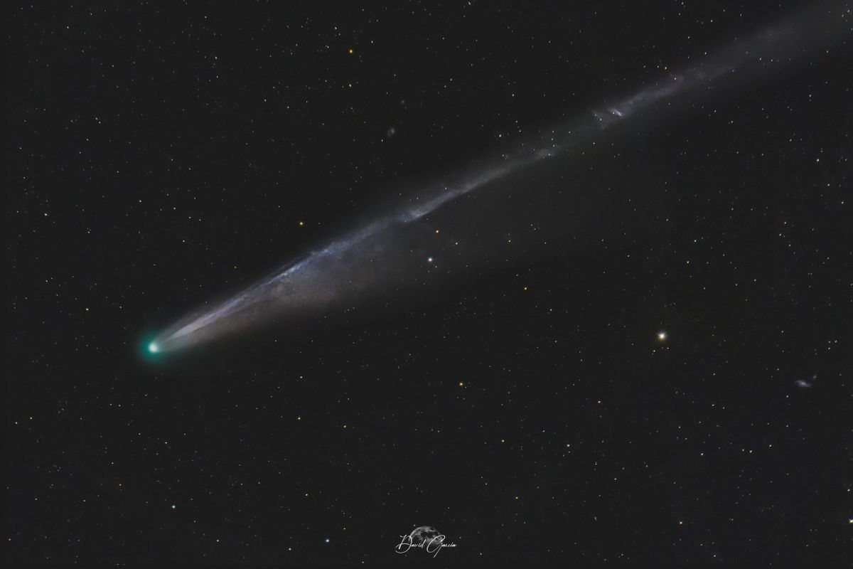 cometa Lemmon