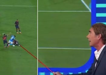 Bergonzi (Foto: screen La Domenica Sportiva)