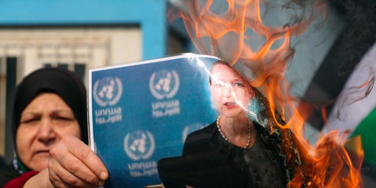 Libano. Donna palestinese brucia la foto di Dorothee Klaus, direttore UNRWA in Libano (Ansa)
