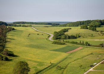 Dichiarazione IMU terreni agricoli