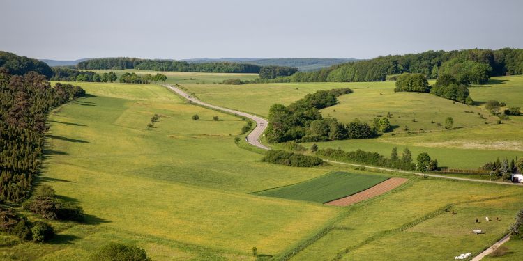 Dichiarazione IMU terreni agricoli