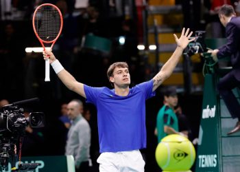 Flavio Cobolli Coppa Davis