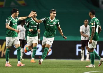 I calciatori del Palmeiras in Coppa Libertadores (Foto Ansa)