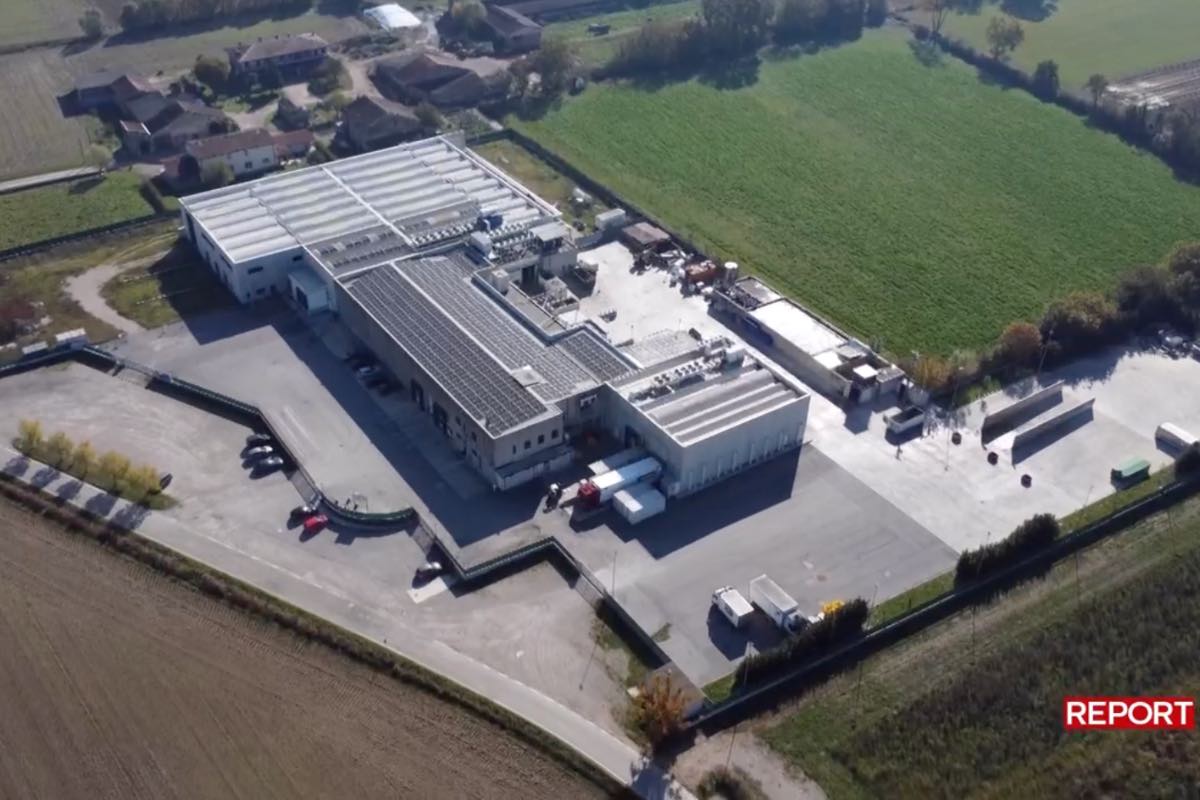 Carne scaduta, Report