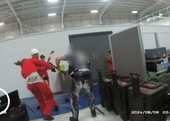 Attivisti pro pal, il video (Foto: Sky)