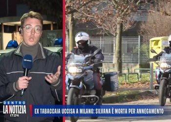 Omicidio Silvana Damato (Foto: Dentro la notizia)