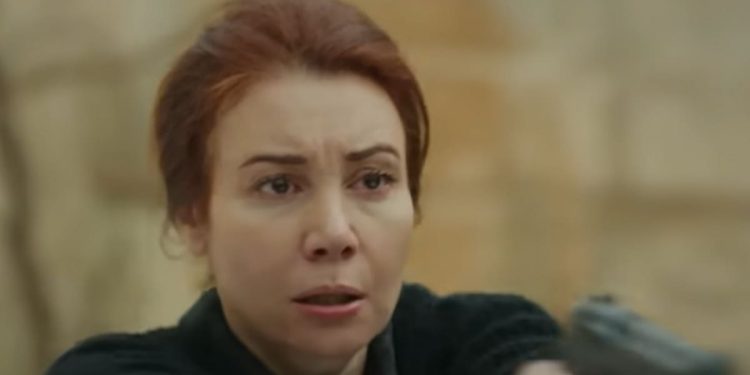 Dilsah di Hercai Amore e Vendetta