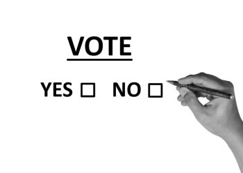 Referendum (Foto: Pixabay)