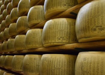 Image by Morana T from Pixabay