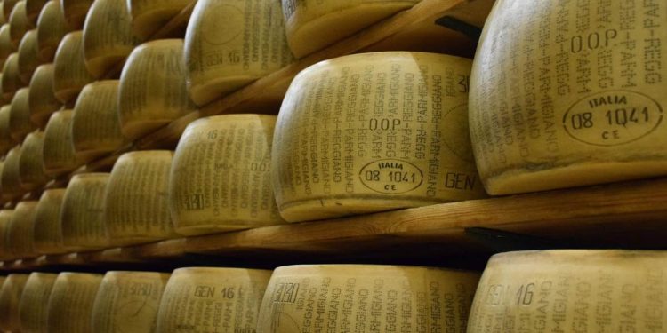 Image by Morana T from Pixabay