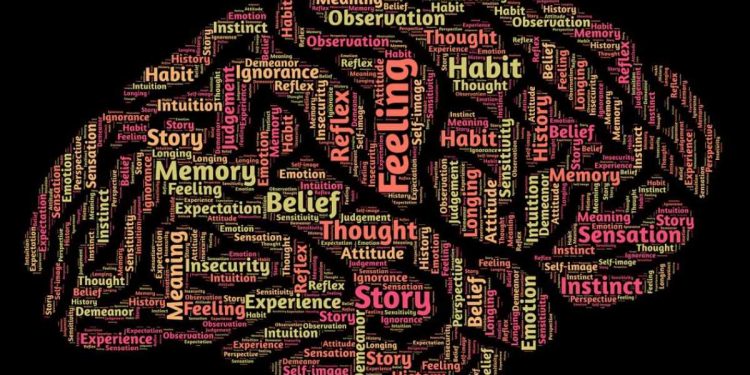 Cervello (Foto: Pixabay)